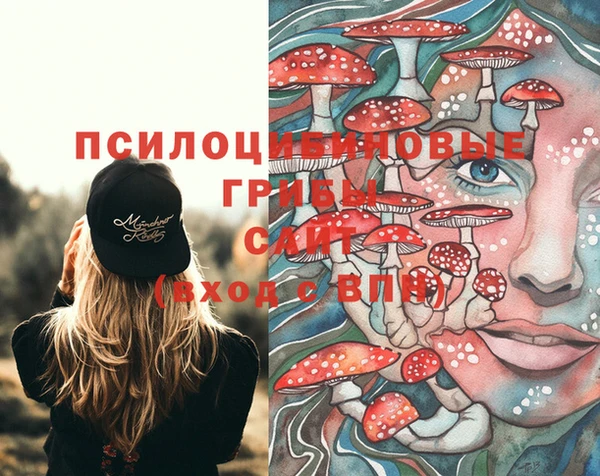 дживик Алексеевка